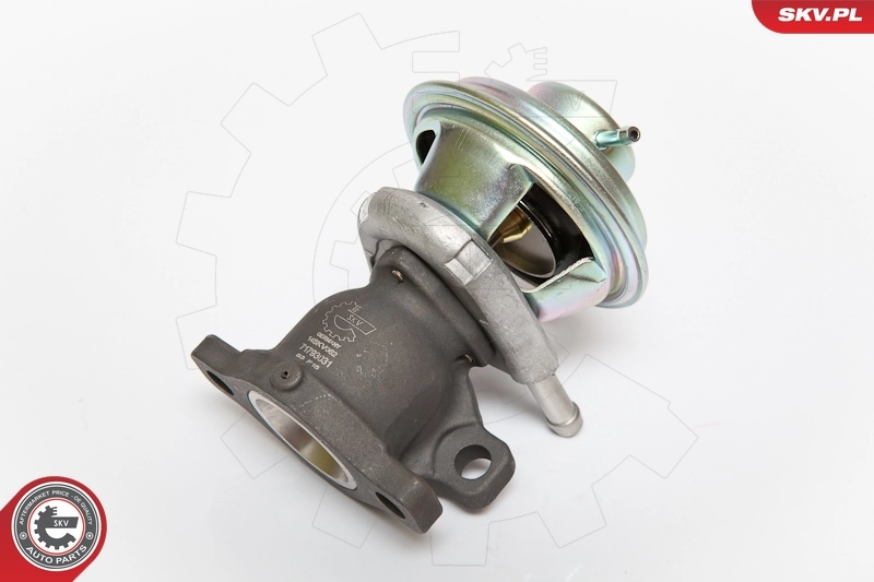 EGR Valve